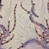 Seeke Handbeaded Lace(Purple)